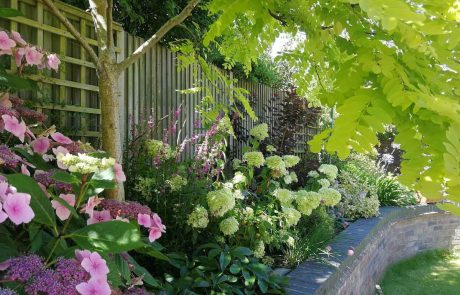 Pictures of gardens by Rachel Smith garden Design